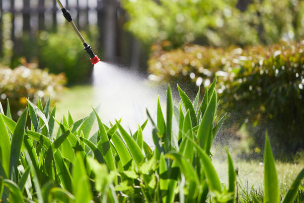 24/7 Emergency Wasp Removal experts in Chesterfield, MO